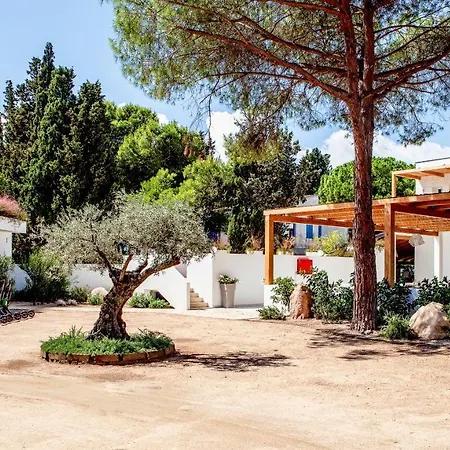 Noha Lifestyle - Adults Only