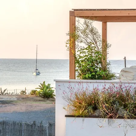 Noha Lifestyle - Adults Only 4* Pula