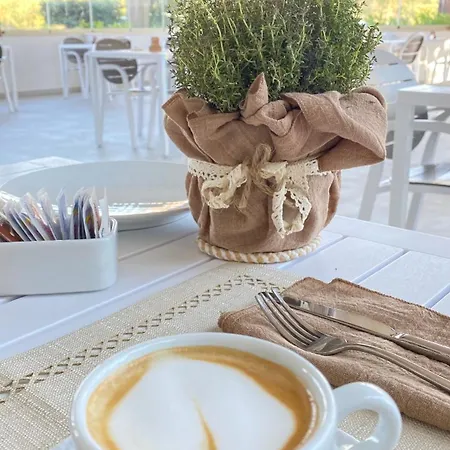 Noha Lifestyle - Adults Only فندق